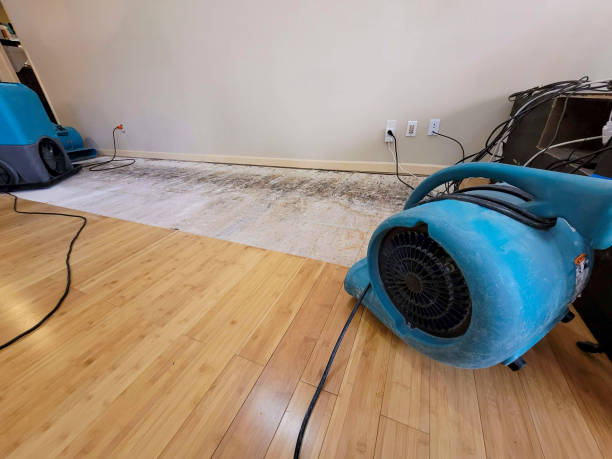 Professional Basement Flood Cleanup technician working in Maineville, OH
